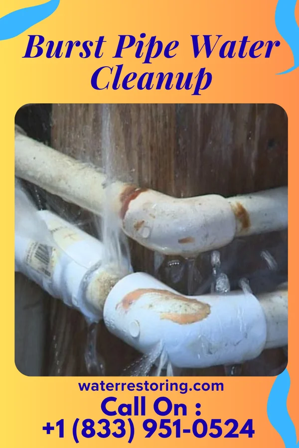 Burst Pipe Water Cleanup in Clemons, IA
