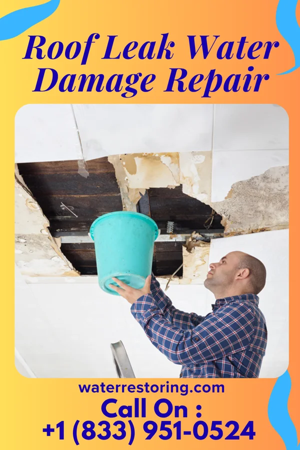 Roof Leak Water Damage Repair in Clemons, IA